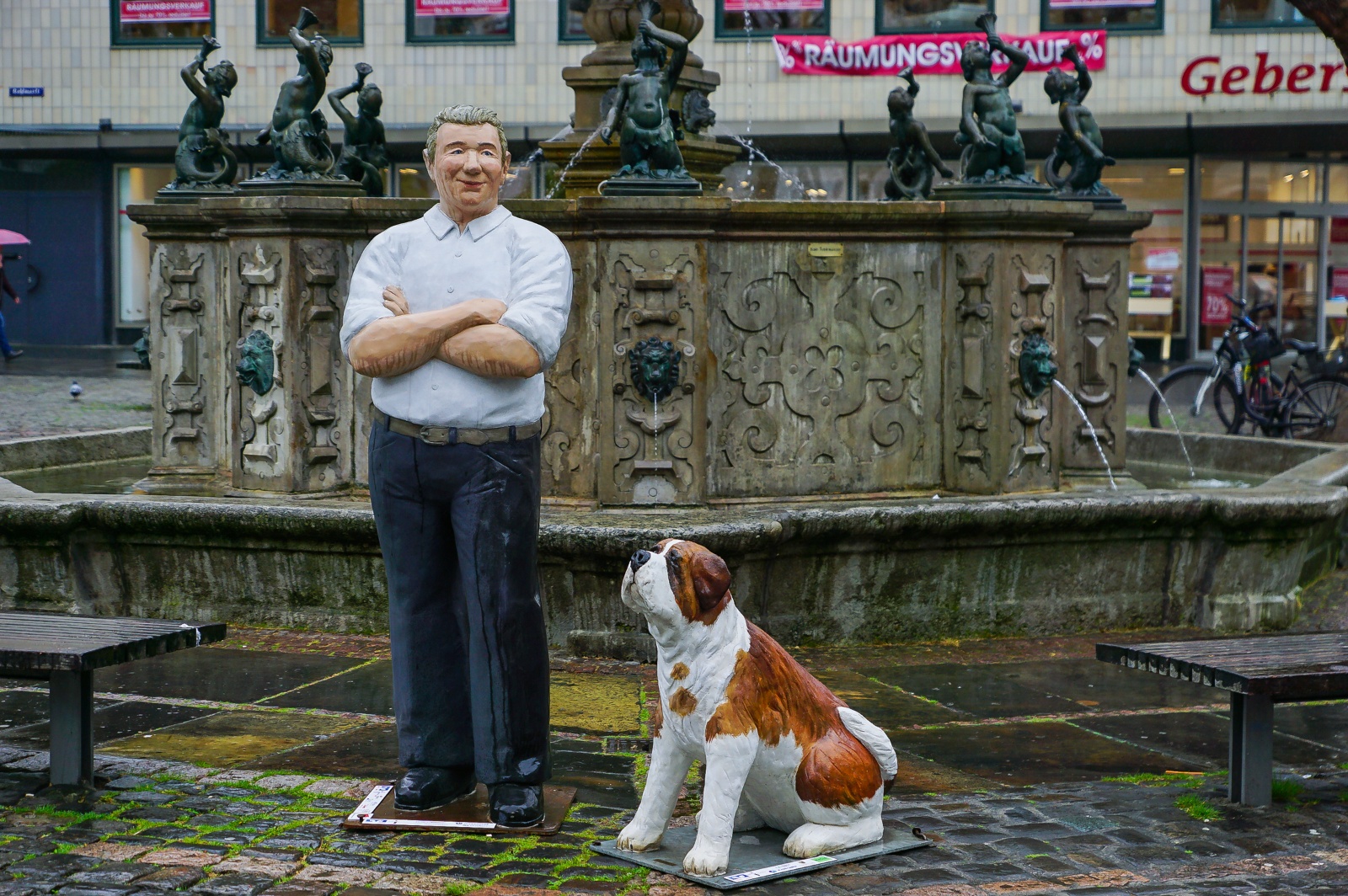 Spaziergang mit hund